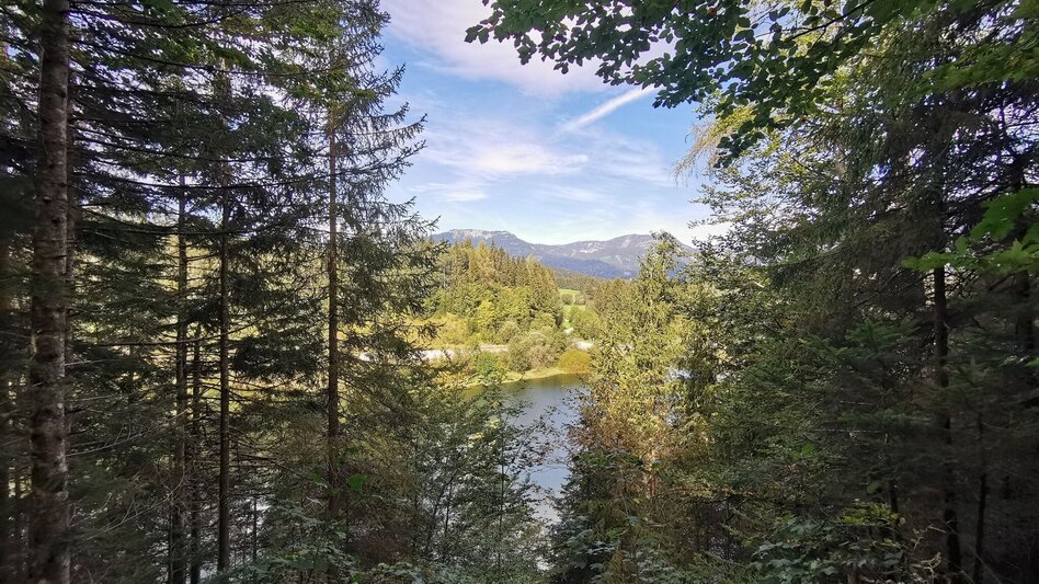 Hiking route The forest trail near the Salza reservoir - Touren-Impression #2.1 | © Ausseerland