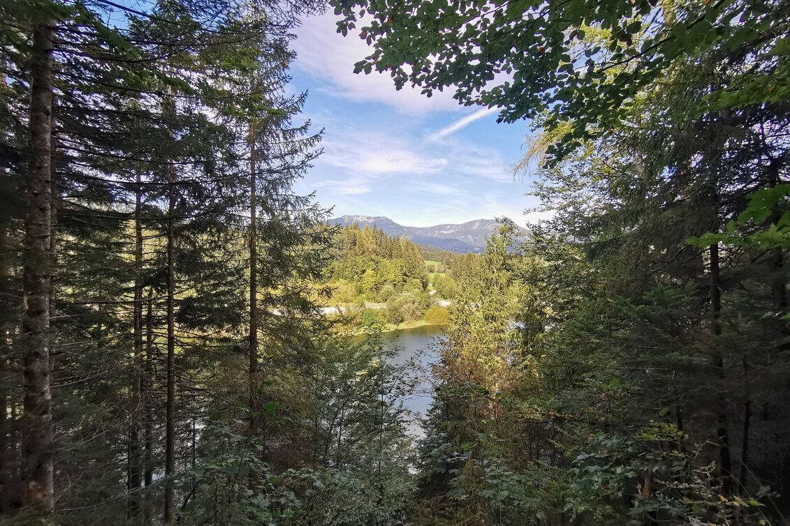 Hiking route The forest trail near the Salza reservoir - Touren-Impression #1 | © Ausseerland