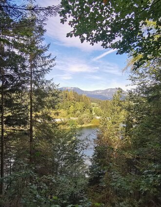 der waldsteig beim salza-stausee_img_80818206 | Theresa Schwaiger | © Ausseerland