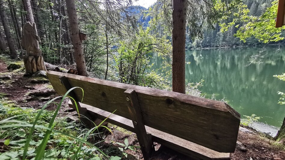 Hiking route The forest trail near the Salza reservoir - Touren-Impression #2.6 | © Ausseerland
