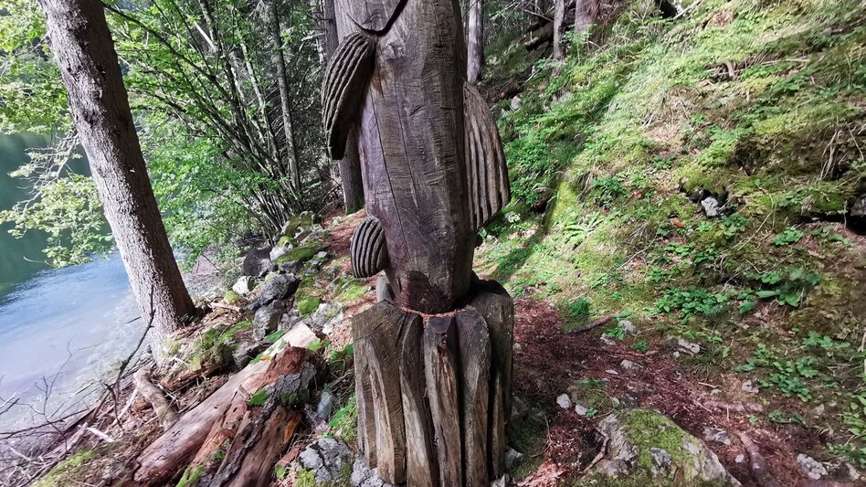 Hiking route The forest trail near the Salza reservoir - Touren-Impression #2.8 | © Ausseerland