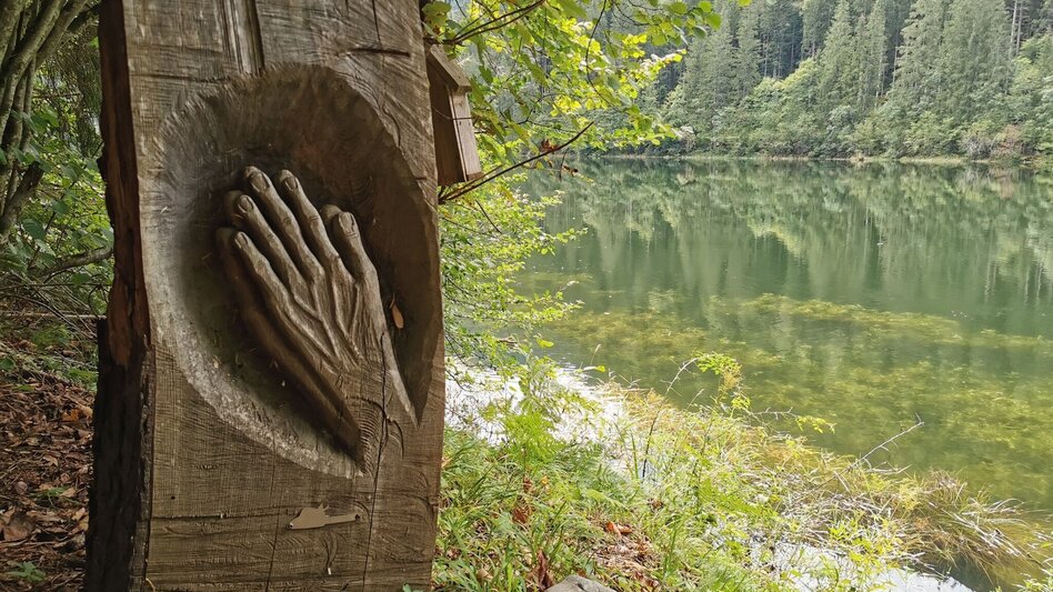 Hiking route The forest trail near the Salza reservoir - Touren-Impression #2.2 | © Ausseerland