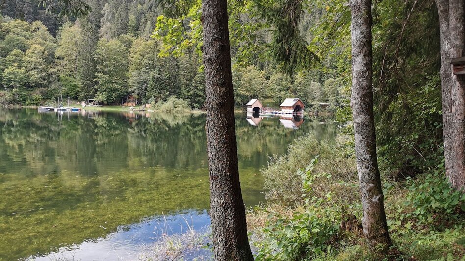 Hiking route The forest trail near the Salza reservoir - Touren-Impression #2.7 | © Ausseerland