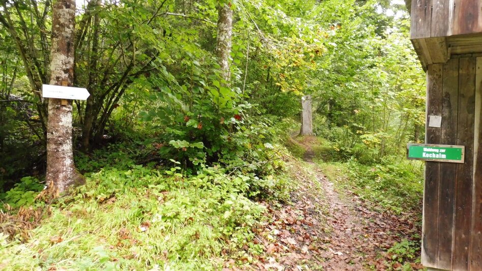 Hiking route Fraungruberweg in Bad Mitterndorf - Touren-Impression #2.2 | © Ausseerland