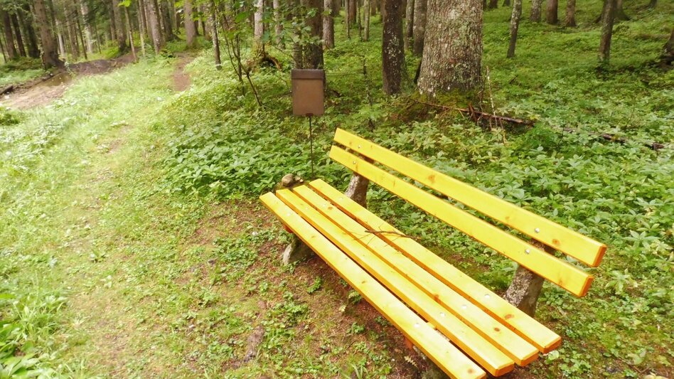 Hiking route Fraungruberweg in Bad Mitterndorf - Touren-Impression #2.3 | © Ausseerland