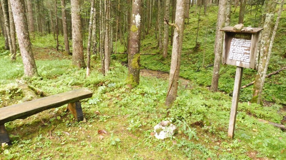 Hiking route Fraungruberweg in Bad Mitterndorf - Touren-Impression #2.6 | © Ausseerland