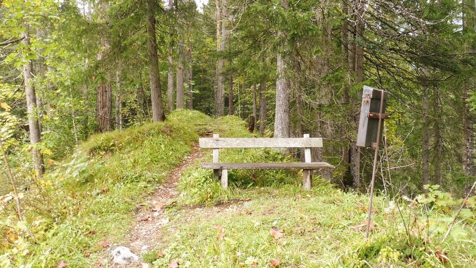 Hiking route Fraungruberweg in Bad Mitterndorf - Touren-Impression #2.10 | © Ausseerland