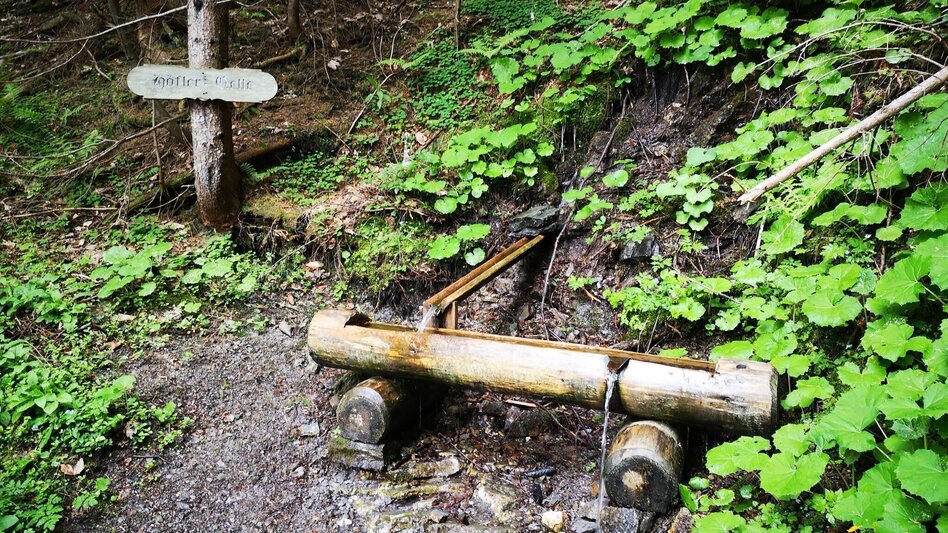 Klettersteig Über das "Zahme Gamseck" auf die Rax im Naturpark Mürzer Oberland - Touren-Impression #2.1 | © TV Hochsteiermark