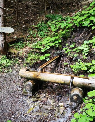 Bei der Höflerquelle | Andreas Steininger | © TV Hochsteiermark