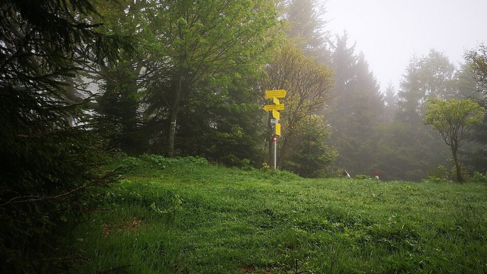 Klettersteig Über das "Zahme Gamseck" auf die Rax im Naturpark Mürzer Oberland - Touren-Impression #2.2 | © TV Hochsteiermark
