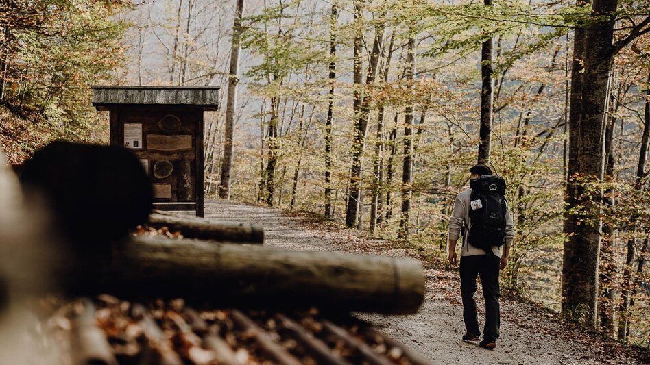 Wanderung Etappe 09 Luchs Trail Palfau - Lassing (lange Variante) - Touren-Impression #2.3 | © TV Gesäuse