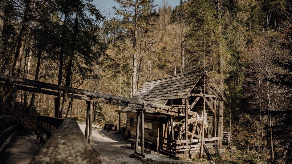 Wanderung Etappe 09 Luchs Trail Palfau - Lassing (lange Variante) - Touren-Impression #2.9 | © TV Gesäuse