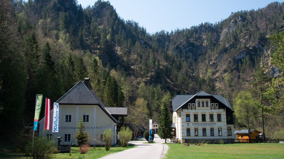 Wanderung Burgstallort-Lerchgraben-Löwekogel - Touren-Impression #2.1 | © TV Gesäuse