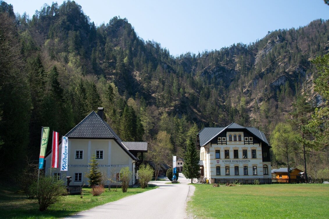 Wanderung Burgstallort-Lerchgraben-Löwekogel - Touren-Impression #1 | © TV Gesäuse