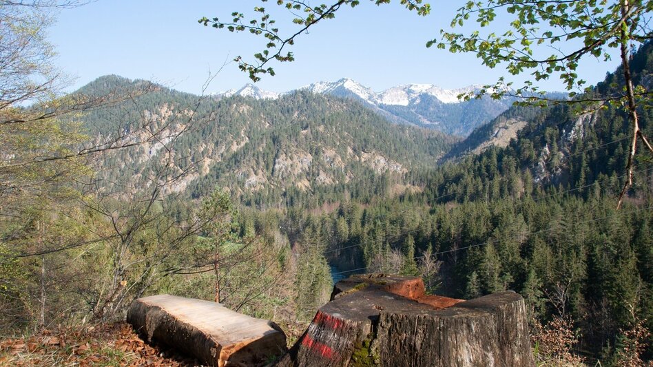 Wanderung Burgstallort-Lerchgraben-Löwekogel - Touren-Impression #2.2 | © TV Gesäuse