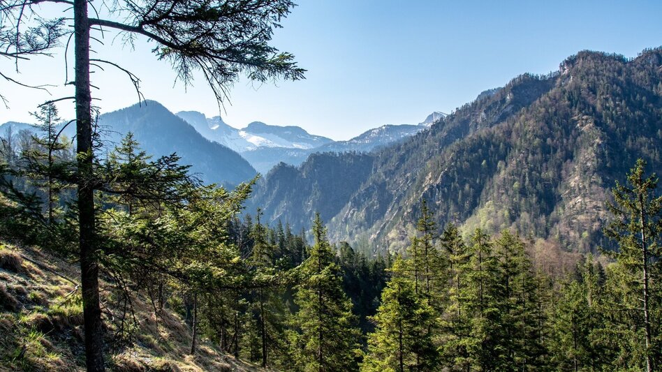 Wanderung Burgstallort-Lerchgraben-Löwekogel - Touren-Impression #2.5 | © TV Gesäuse