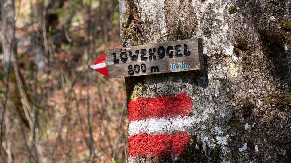 Wanderung Burgstallort-Lerchgraben-Löwekogel - Touren-Impression #2.7 | © TV Gesäuse
