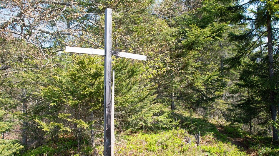 Wanderung Burgstallort-Lerchgraben-Löwekogel - Touren-Impression #2.8 | © TV Gesäuse