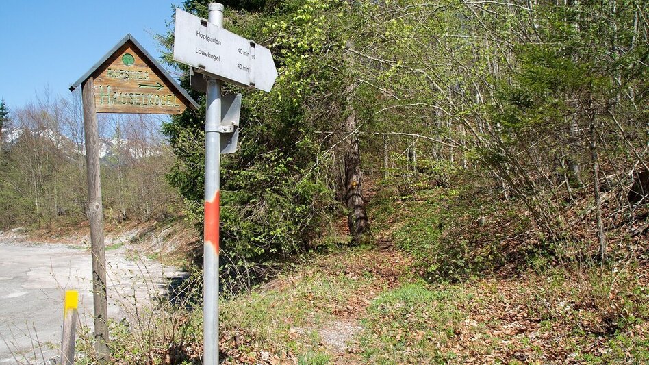 Wanderung Burgstallort-Lerchgraben-Löwekogel - Touren-Impression #2.10 | © TV Gesäuse