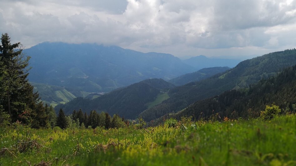 Hiking route Hike via Eibeggerhütte to Schwarzkogel - Touren-Impression #2.2 | © Yvonne Blengl