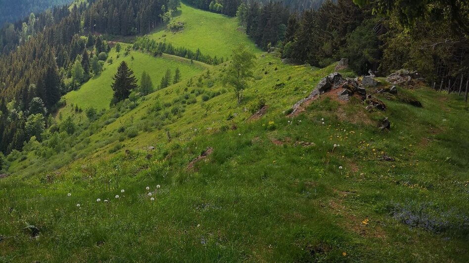 Hiking route Hike via Eibeggerhütte to Schwarzkogel - Touren-Impression #2.3 | © Yvonne Blengl