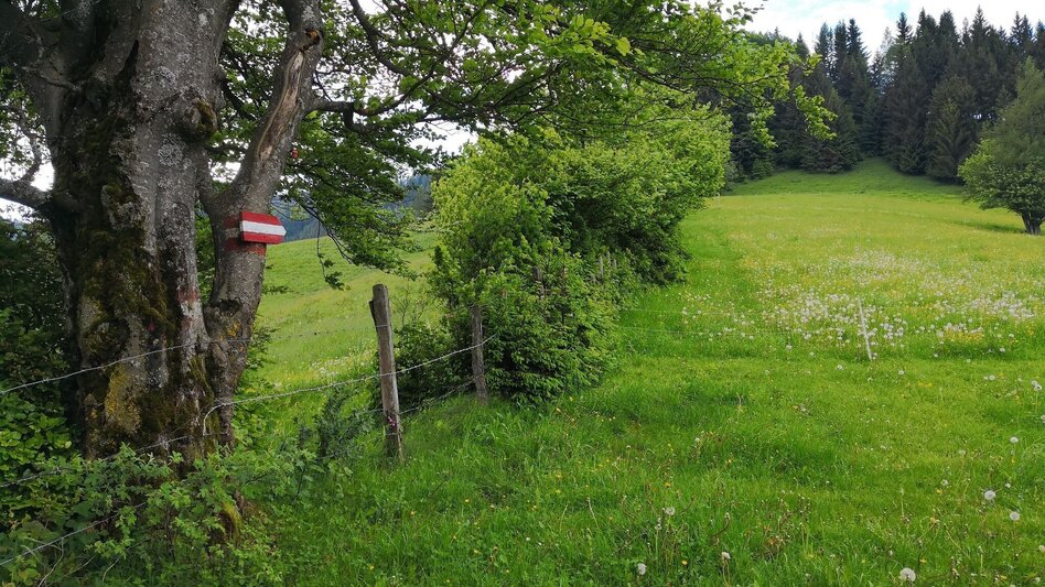 Hiking route Hike via Eibeggerhütte to Schwarzkogel - Touren-Impression #2.5 | © Yvonne Blengl