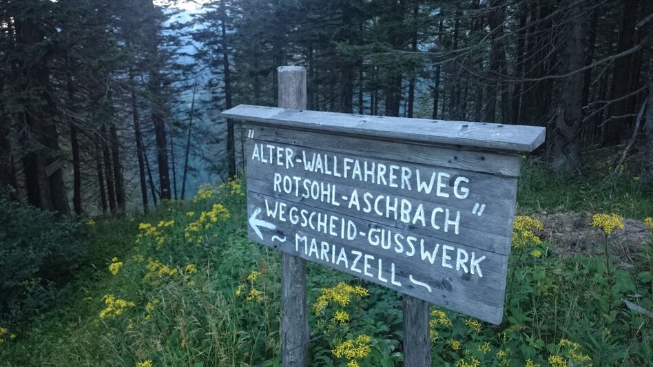 Hiking route From the Mürzer Oberland Nature Park into the Hochschwab region - Touren-Impression #2.4 | © TV Hochsteiermark