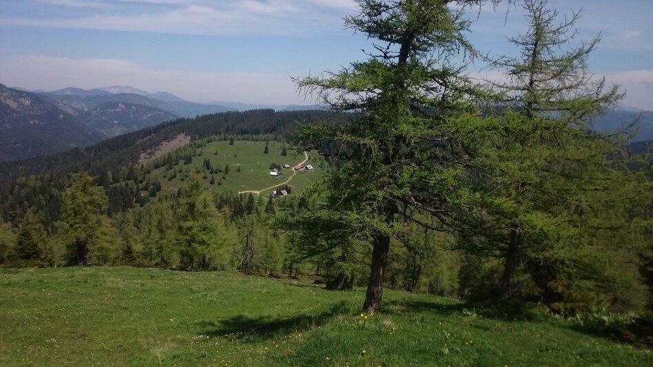 Hiking route From the Mürzer Oberland Nature Park into the Hochschwab region - Touren-Impression #2.8 | © TV Hochsteiermark