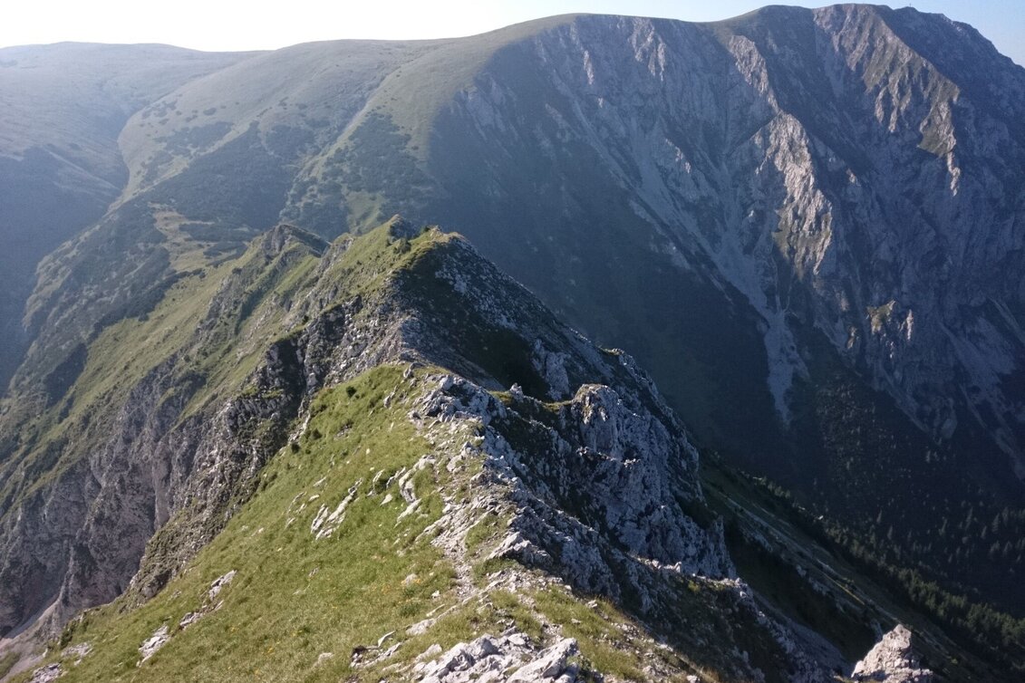 Mountain Hike Crossing the Hohe Veitsch in the Mürzer Oberland Nature Park - Touren-Impression #1 | © TV Hochsteiermark