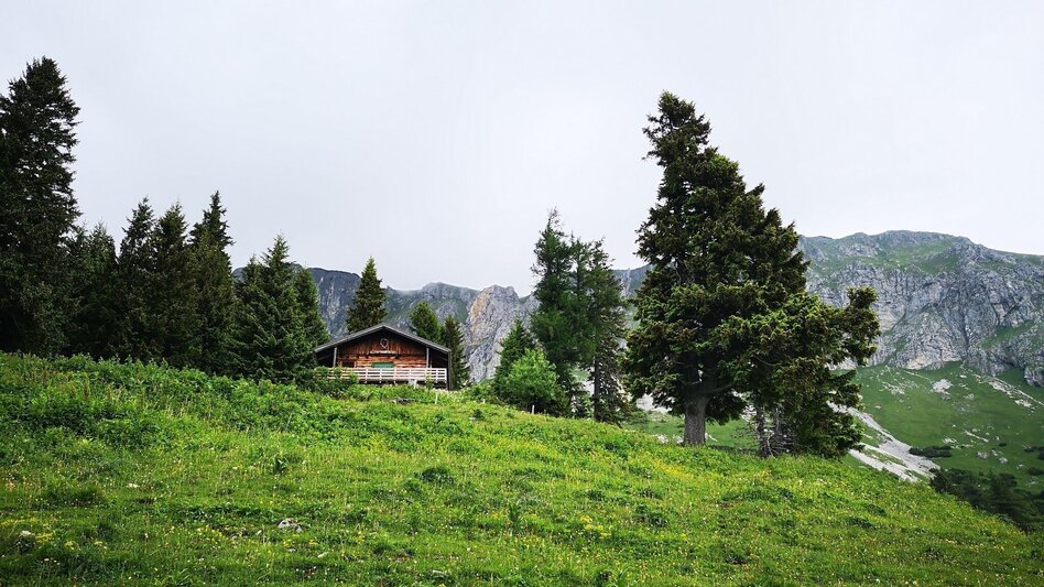Mountain Hike Crossing the Hohe Veitsch in the Mürzer Oberland Nature Park - Touren-Impression #2.7 | © TV Hochsteiermark