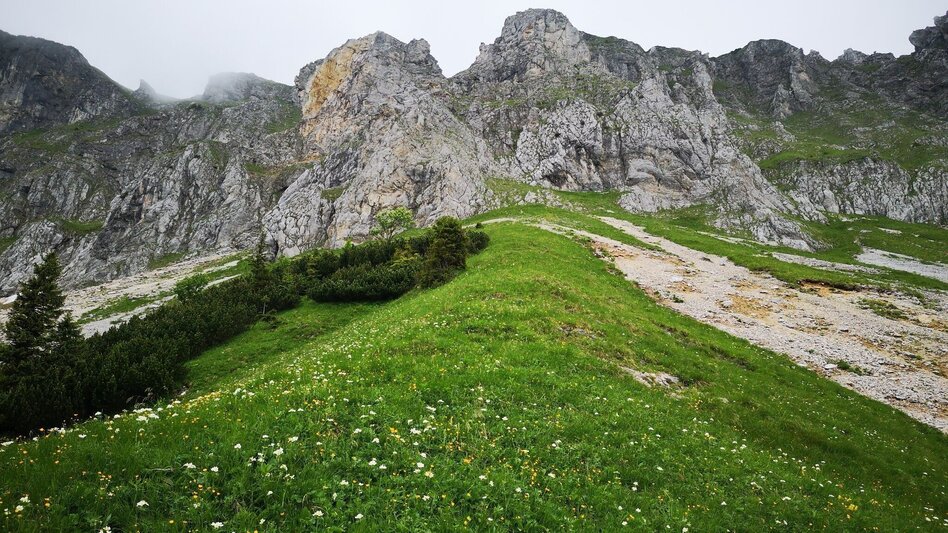 Mountain Hike Crossing the Hohe Veitsch in the Mürzer Oberland Nature Park - Touren-Impression #2.9 | © TV Hochsteiermark