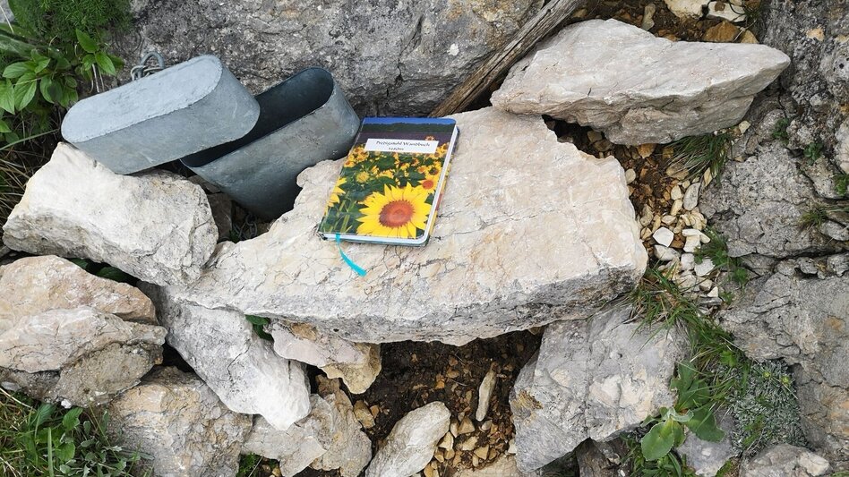 Mountain Hike Crossing the Hohe Veitsch in the Mürzer Oberland Nature Park - Touren-Impression #2.10 | © TV Hochsteiermark