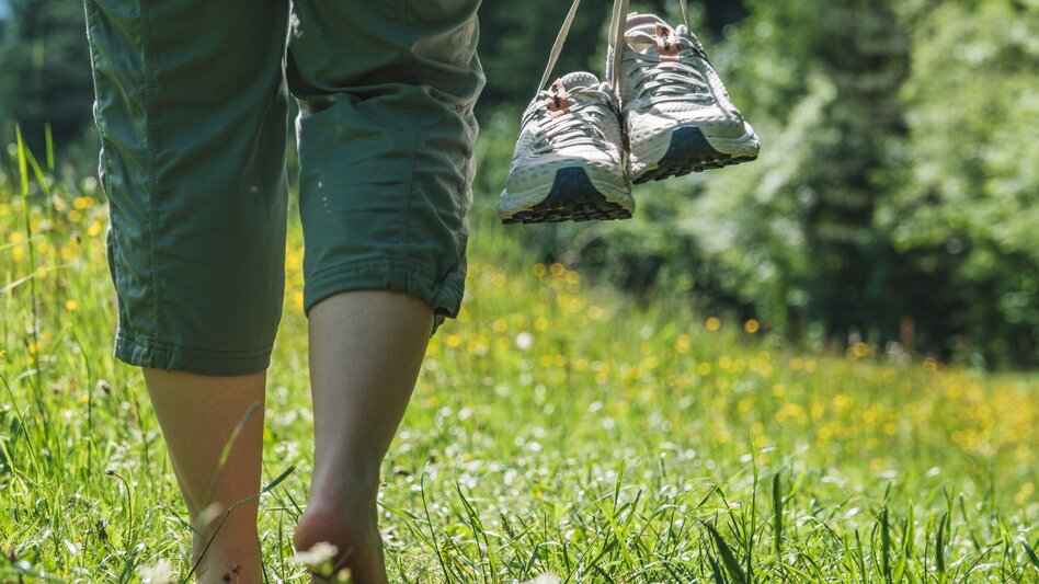 Wanderung Reiner Barfußweg - Touren-Impression #2.1