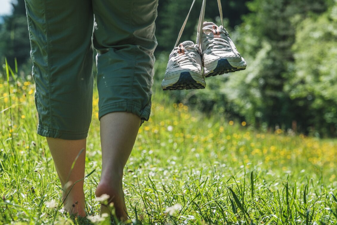 Wanderung Reiner Barfußweg - Touren-Impression #1