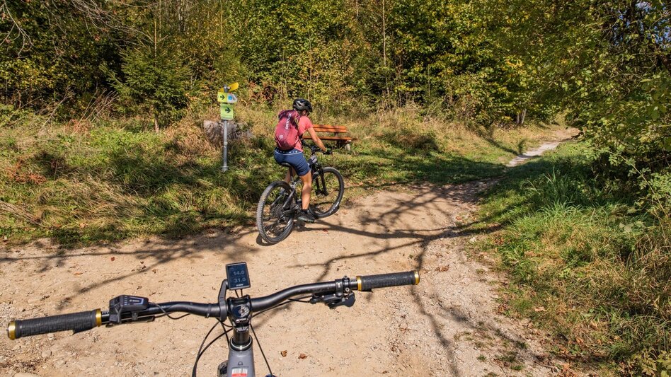 Mountain Biking Sonnseitn Tour | 821 - Touren-Impression #2.5 | © Erlebnisregion Schladming-Dachstein