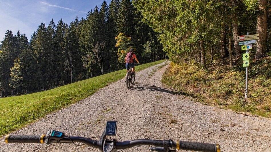 Mountain Biking Sonnseitn Tour | 821 - Touren-Impression #2.6 | © Erlebnisregion Schladming-Dachstein