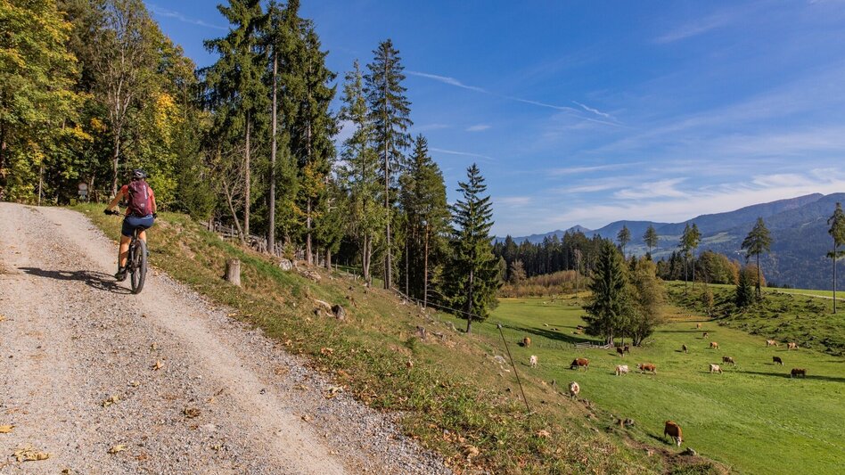 Mountain Biking Sonnseitn Tour | 821 - Touren-Impression #2.8 | © Erlebnisregion Schladming-Dachstein