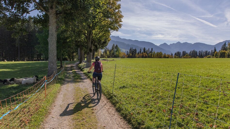Mountain Biking Sonnseitn Tour | 821 - Touren-Impression #2.10 | © Erlebnisregion Schladming-Dachstein