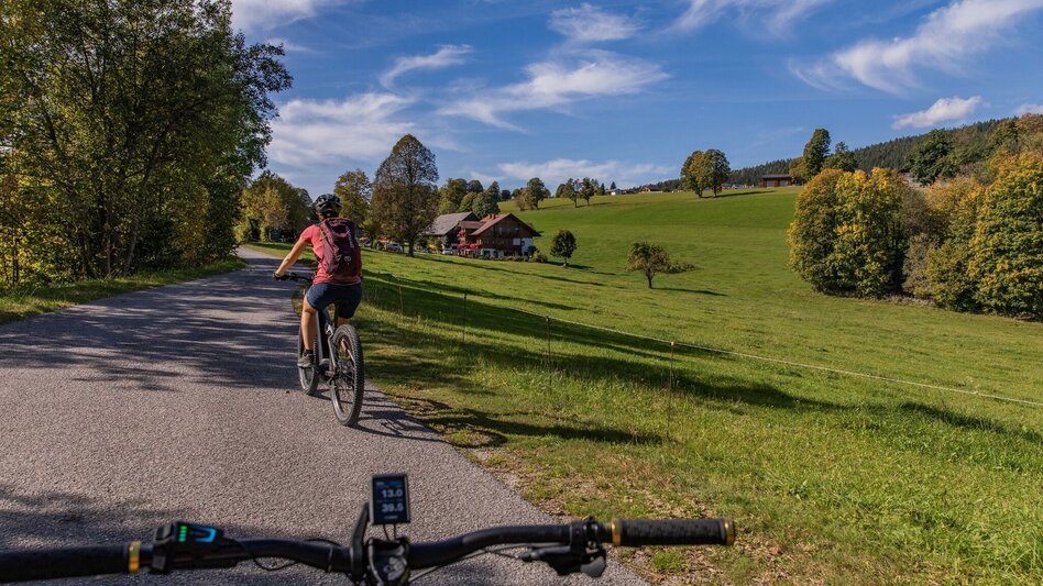 Mountain Biking Sonnseitn Tour | 821 - Touren-Impression #2.12 | © Erlebnisregion Schladming-Dachstein
