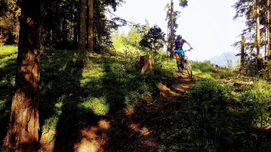 Singletrail Vorberg Trail | 601 - Touren-Impression #2.1 | © Erlebnisregion Schladming-Dachstein
