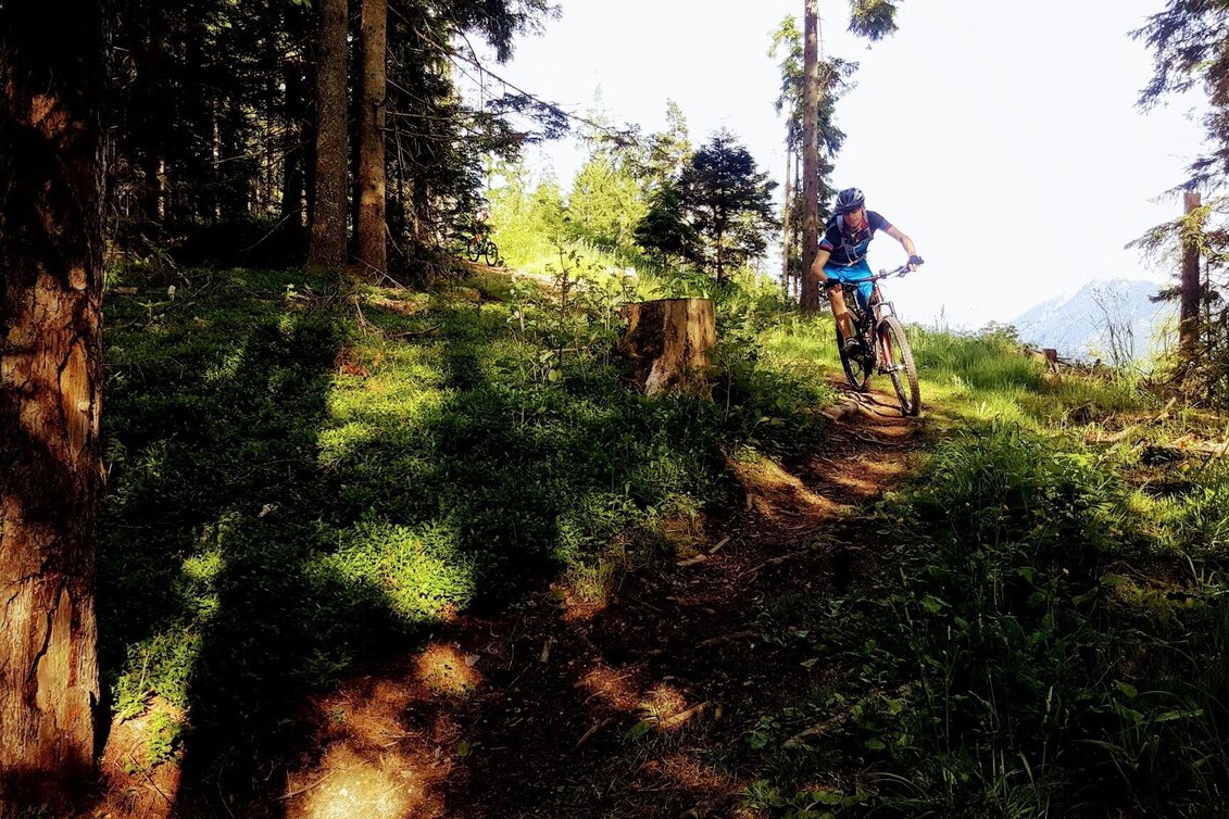 Singletrail Vorberg Trail | 601 - Touren-Impression #1 | © Erlebnisregion Schladming-Dachstein