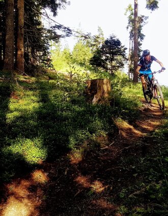 Vorberg Trail - flowige Waldpassage | Schladming Dachstein | © Erlebnisregion Schladming-Dachstein
