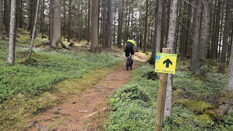 Singletrail Vorberg Trail | 601 - Touren-Impression #2.3 | © Erlebnisregion Schladming-Dachstein