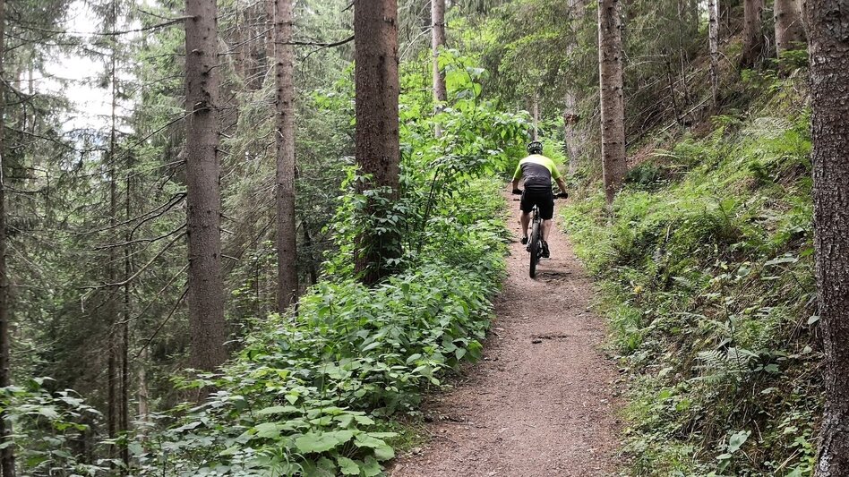 Singletrail Vorberg Trail | 601 - Touren-Impression #2.4 | © Erlebnisregion Schladming-Dachstein