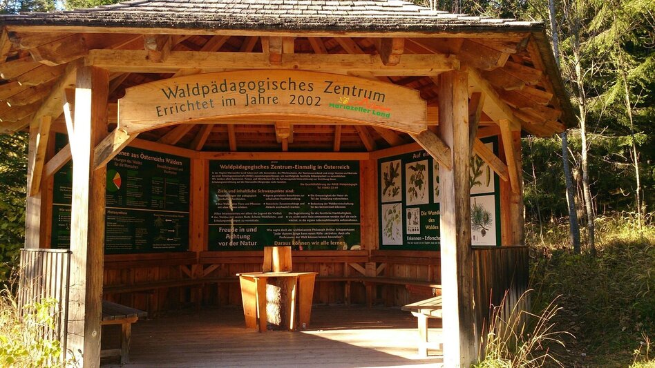 Hiking route Mariazeller EYE VIEWS: Hike on the Bürgeralpe - Touren-Impression #2.2 | © TV Hochsteiermark