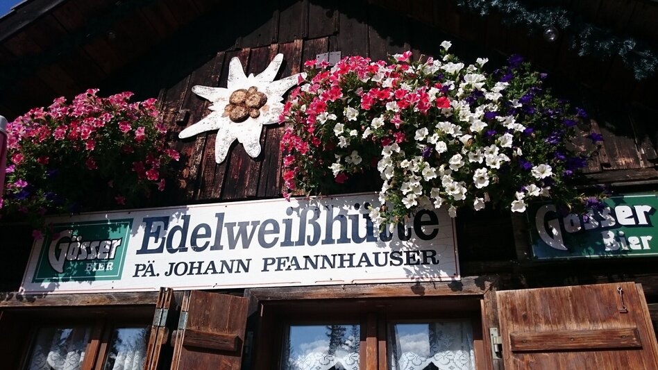 Hiking route Mariazeller EYE VIEWS: Hike on the Bürgeralpe - Touren-Impression #2.5 | © TV Hochsteiermark