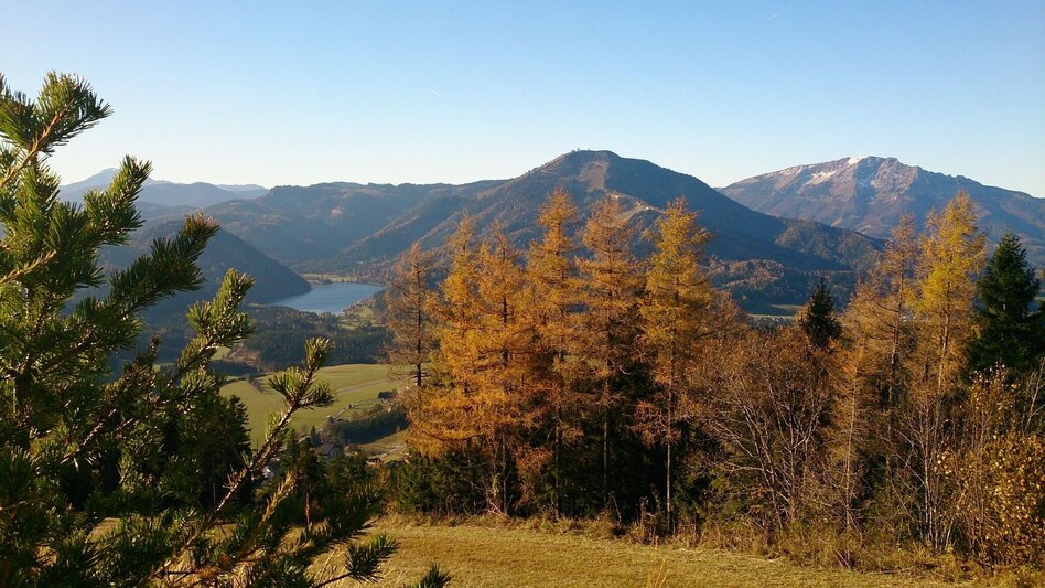 Hiking route Mariazeller EYE VIEWS: Hike on the Bürgeralpe - Touren-Impression #2.9 | © TV Hochsteiermark