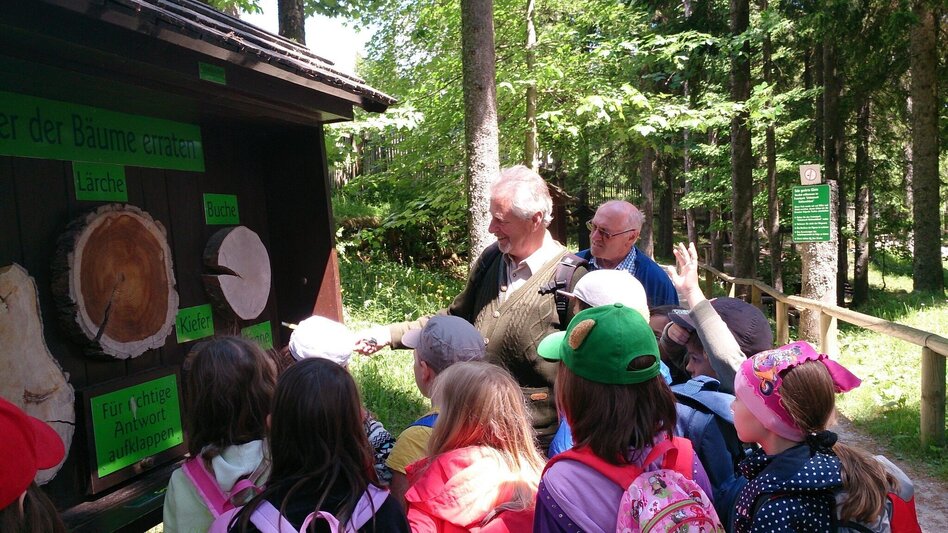 Hiking route Mariazeller EYE VIEWS: Hike on the Bürgeralpe - Touren-Impression #2.10 | © TV Hochsteiermark