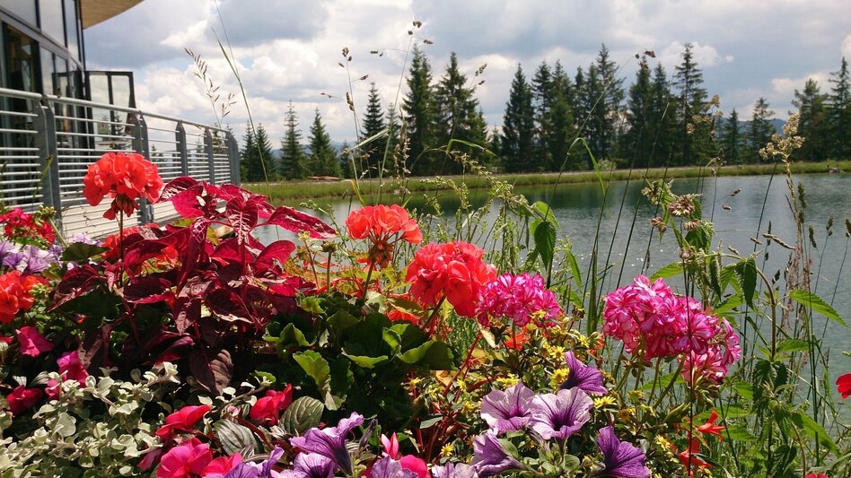 Hiking route Mariazeller EYE VIEWS: Hike on the Bürgeralpe - Touren-Impression #2.11 | © TV Hochsteiermark