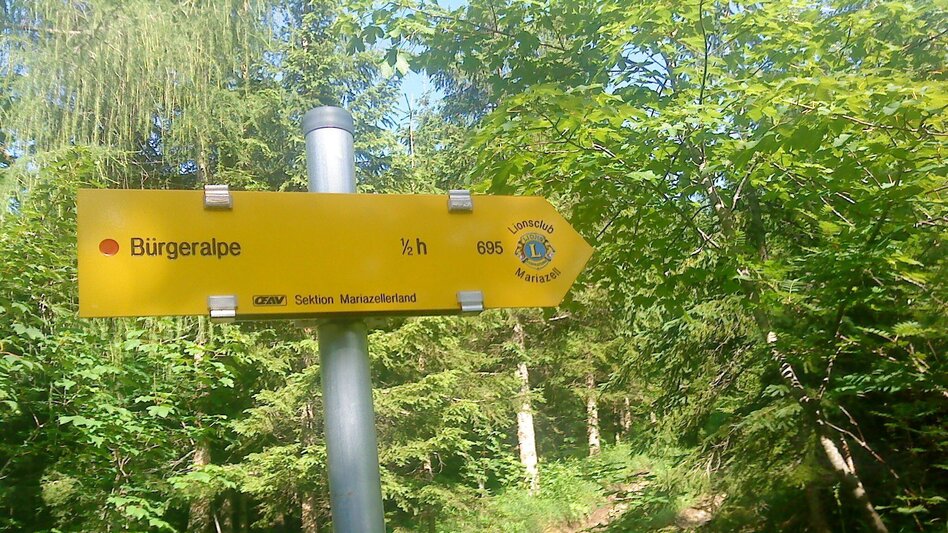 Hiking route Hike to the Bürgeralpe via the Stehralm - Touren-Impression #2.4 | © TV Hochsteiermark